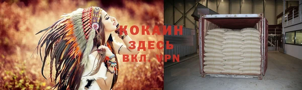 mdpv Каменногорск