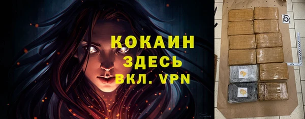 амф Каменка