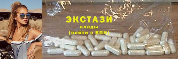 амф Каменка