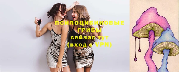 mdpv Каменногорск