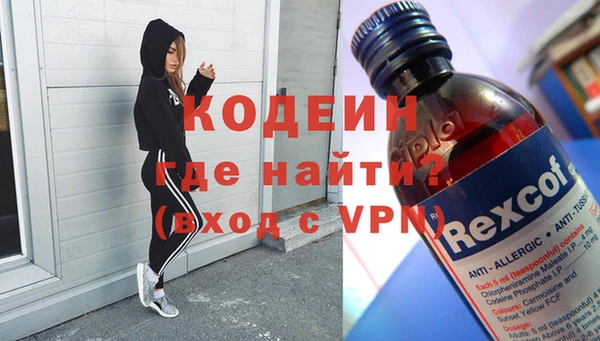 амф Каменка