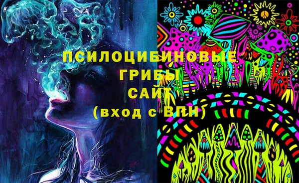 mdpv Каменногорск