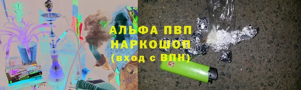 амф Каменка