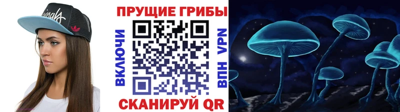 Купить где  Козельск  Галлюциногенные грибы MAGIC MUSHROOMS 