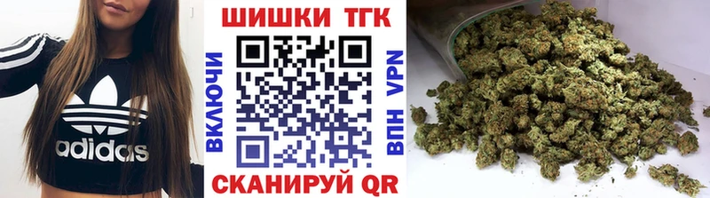 Купить закладки  Козельск  Бошки марихуана конопля 
